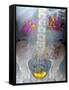 Urinary System, X-ray-Du Cane Medical-Framed Stretched Canvas