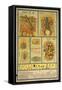 Urinary Tract Anatomy and Histology-null-Framed Stretched Canvas