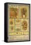 Urinary Tract Anatomy and Histology-null-Framed Stretched Canvas