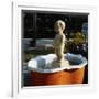 Urinating Boy Fountain-Paul Almasy-Framed Photographic Print