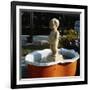 Urinating Boy Fountain-Paul Almasy-Framed Photographic Print