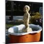 Urinating Boy Fountain-Paul Almasy-Mounted Photographic Print