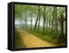 Urkiola Natural Park, Biscay Province, Basque Country, Spain-Prisma-Framed Stretched Canvas