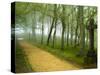 Urkiola Natural Park, Biscay Province, Basque Country, Spain-Prisma-Stretched Canvas