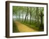 Urkiola Natural Park, Biscay Province, Basque Country, Spain-Prisma-Framed Photographic Print