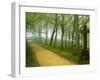 Urkiola Natural Park, Biscay Province, Basque Country, Spain-Prisma-Framed Photographic Print