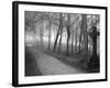 Urkiola Natural Park, Biscay Province, Basque Country, Spain-Prisma-Framed Photographic Print