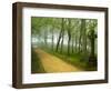 Urkiola Natural Park, Biscay Province, Basque Country, Spain-Prisma-Framed Photographic Print