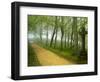 Urkiola Natural Park, Biscay Province, Basque Country, Spain-Prisma-Framed Photographic Print