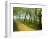 Urkiola Natural Park, Biscay Province, Basque Country, Spain-Prisma-Framed Photographic Print