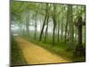 Urkiola Natural Park, Biscay Province, Basque Country, Spain-Prisma-Mounted Photographic Print
