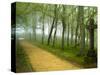 Urkiola Natural Park, Biscay Province, Basque Country, Spain-Prisma-Stretched Canvas