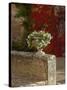 Urn of Petunias, Chateau de Pierreclos, Burgundy, France-Lisa S^ Engelbrecht-Stretched Canvas