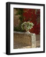 Urn of Petunias, Chateau de Pierreclos, Burgundy, France-Lisa S^ Engelbrecht-Framed Photographic Print