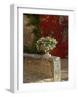 Urn of Petunias, Chateau de Pierreclos, Burgundy, France-Lisa S^ Engelbrecht-Framed Photographic Print