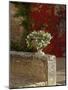 Urn of Petunias, Chateau de Pierreclos, Burgundy, France-Lisa S^ Engelbrecht-Mounted Photographic Print