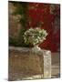 Urn of Petunias, Chateau de Pierreclos, Burgundy, France-Lisa S^ Engelbrecht-Mounted Photographic Print