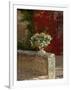 Urn of Petunias, Chateau de Pierreclos, Burgundy, France-Lisa S^ Engelbrecht-Framed Photographic Print