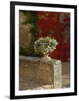 Urn of Petunias, Chateau de Pierreclos, Burgundy, France-Lisa S^ Engelbrecht-Framed Photographic Print