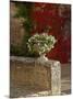 Urn of Petunias, Chateau de Pierreclos, Burgundy, France-Lisa S^ Engelbrecht-Mounted Photographic Print