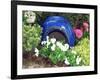 Urn & Spring Flowers-Herb Dickinson-Framed Photographic Print