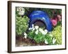 Urn & Spring Flowers-Herb Dickinson-Framed Photographic Print