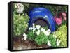 Urn & Spring Flowers-Herb Dickinson-Framed Stretched Canvas