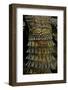 Uromastyx Ornata (Ornate Mastigure, Ornate Dabb Lizard) - Tail-Paul Starosta-Framed Photographic Print