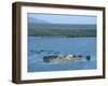 Uros Indian Floating Village, Lake Titicaca-null-Framed Photographic Print