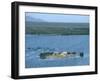 Uros Indian Floating Village, Lake Titicaca-null-Framed Photographic Print