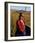 Uros Indian Woman in Traditional Reed Boat, Islas Flotantes, Lake Titicaca, Peru, South America-Gavin Hellier-Framed Photographic Print