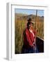 Uros Indian Woman in Traditional Reed Boat, Islas Flotantes, Lake Titicaca, Peru, South America-Gavin Hellier-Framed Photographic Print