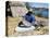 Uros (Urus) Woman Grinding Corn, Islas Flotantas, Reed Islands, Lake Titicaca, Peru, South America-Tony Waltham-Stretched Canvas