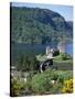 Urquhart Castle, Loch Ness, Scotland, United Kingdom-Adina Tovy-Stretched Canvas