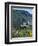 Urquhart Castle, Loch Ness, Scotland, United Kingdom-Adina Tovy-Framed Photographic Print