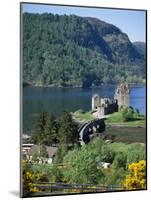 Urquhart Castle, Loch Ness, Scotland, United Kingdom-Adina Tovy-Mounted Photographic Print