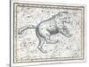 Ursa Major Constellation, 1822-Science Source-Stretched Canvas