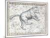 Ursa Major Constellation, 1822-Science Source-Mounted Giclee Print