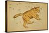 Ursa Major Constellation, 1825-Science Source-Stretched Canvas