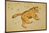 Ursa Major Constellation, 1825-Science Source-Mounted Giclee Print