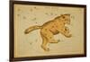 Ursa Major Constellation, 1825-Science Source-Framed Giclee Print