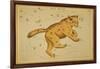 Ursa Major Constellation, 1825-Science Source-Framed Giclee Print