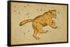 Ursa Major Constellation, 1825-Science Source-Framed Stretched Canvas