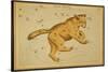 Ursa Major Constellation, 1825-Science Source-Stretched Canvas