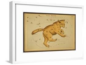 Ursa Major Constellation, 1825-Science Source-Framed Giclee Print