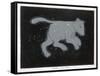 Ursa Major: The Constellation is Composed at First Sight of Seven Conspicuous Stars-Charles F. Bunt-Framed Stretched Canvas