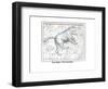 Ursa Major - the Great Bear-Alexander Jamieson-Framed Premium Giclee Print