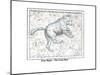 Ursa Major - the Great Bear-Alexander Jamieson-Mounted Art Print