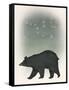 Ursa Major-Ryan Fowler-Framed Stretched Canvas