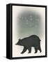 Ursa Major-Ryan Fowler-Framed Stretched Canvas